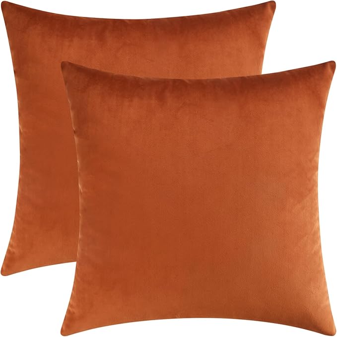 Velvet Cushion Cover Set (2 Pcs)